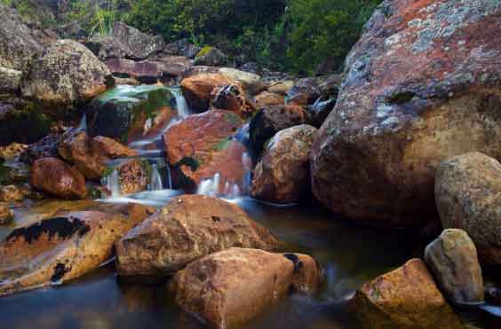 Actividades Reserva Natural el Zoque Café la Huerta