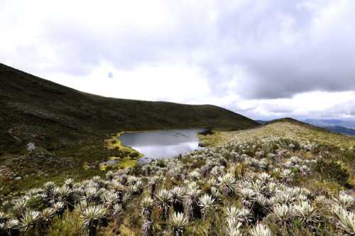 Actividades Lagunas de Siecha Café la Huerta