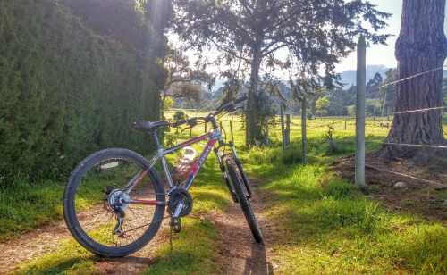 Actividades Paseo En Bicicleta Café la Huerta