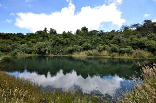 Actividades Reserva Biológica Del Encenillo Café la Huerta